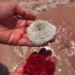 Labuan Bajo et le parc national de Komodo 🇮🇩.#Indonesia #landscape #komodo